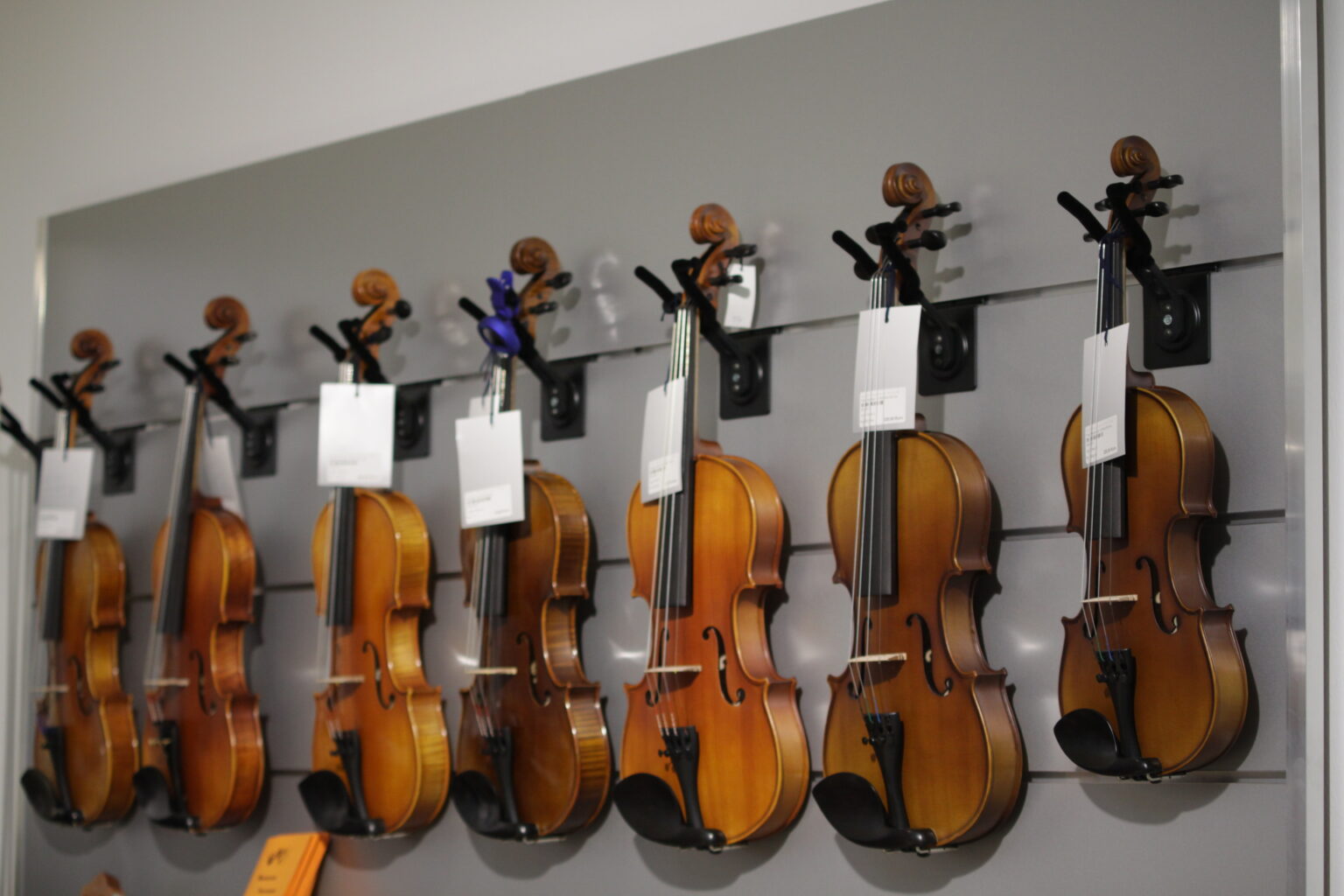 Fotogalerie | MMZ – Mainzer Musikalien-Zentrum